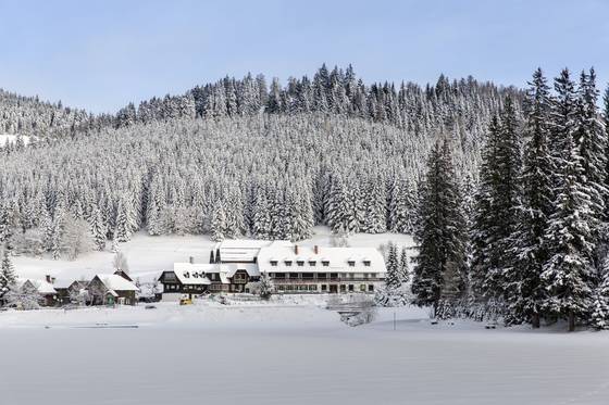 Winteridylle am Teichalmsee